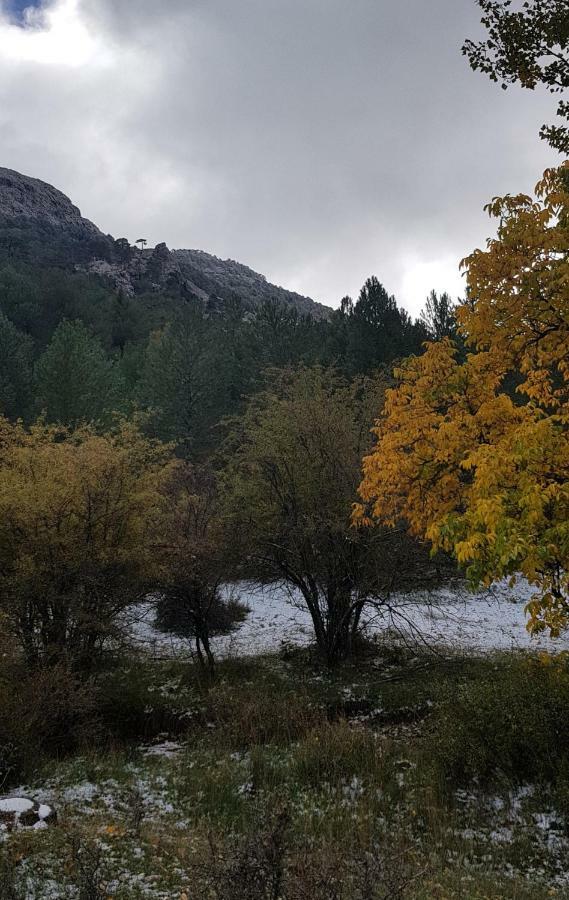 Cazorla Centro Lejlighed Eksteriør billede